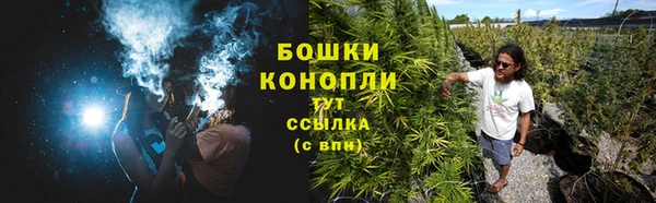 spice Арсеньев