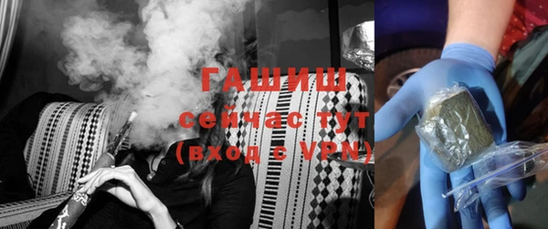 индика Инта