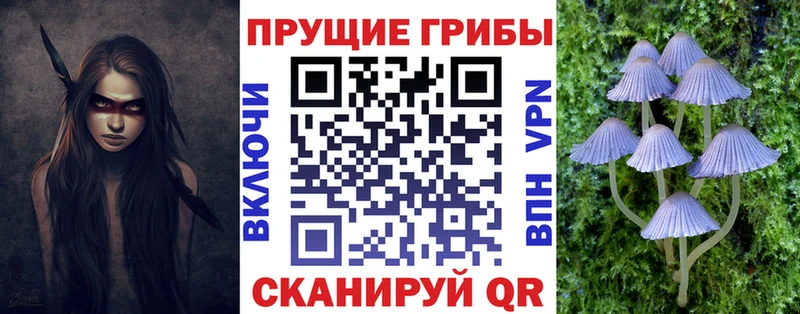 купить наркотики сайты  Онега  Галлюциногенные грибы Magic Shrooms 