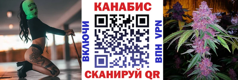 дарк нет клад  Онега  Канабис планчик 